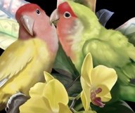 Lovebird Parrot, Watercolor bouquet clipart, Product Image 2