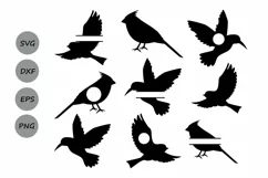 Birds SVG cut files, Birds Monogram Svg, Hummingbirds Svg. Product Image 2