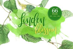 Linden blossom Product Image 1