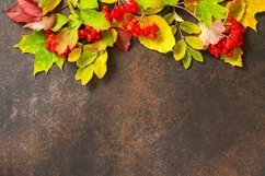 Autumn composition with autumn leaves. Product Image 1