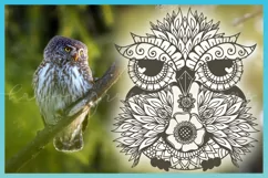 Owl Mandala Zentangle SVG | Owl SVG | Mandala SVG Product Image 6