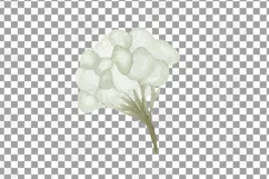 Cotton bolls and fir branch leafy autumn and winter decor Product Image 18