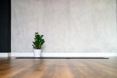 green plant zamioculcas and rubber mat in yoga room Product Image 1