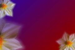 Background flower gradation for sublim or printing 5 Product Image 1