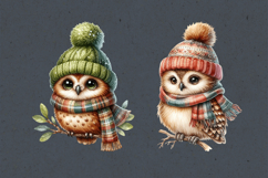 Cute Winter Owls. PNG sublimation Product Image 2