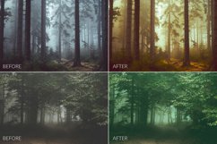 Dark Forest Lr Presets Product Image 10