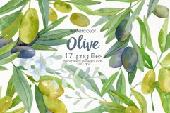 Olives Clipart - PNG Files Product Image 1