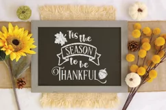 Season to be Thankful SVG Cut File - Fall Farmhouse SVG Product Image 3