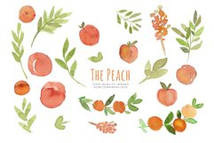 Peaches Greenery Watercolour, Peaches Clipart Product Image 5