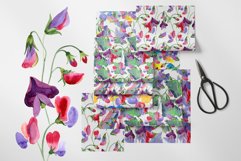 Watercolor Flowers Sweet Pea PNG Product Image 4