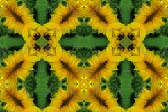 12 abstract Seamless colorful FLOWER patterns pack. Product Image 2