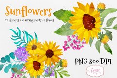 Hand painted sunflower clipart, watercolor spring florals Product Image 1