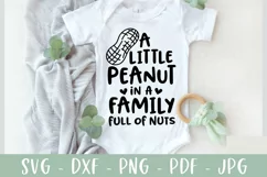 Funny Baby SVG | A Little Peanut In A Family Full Of Nuts Product Image 1