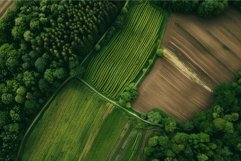 Aerial view of lush green agro fields Product Image 1