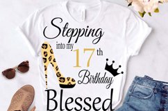 Birthday Svg, 17 Birthday svg, happy birthday cricut file. T Product Image 2