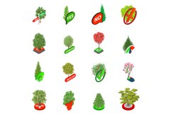 Woodland icons set, isometric style Product Image 1