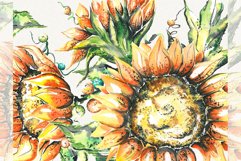 Sunflower clipart, sunflower watercolor clipart, floral Product Image 1