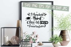 I Survived Third Class Of 2020 Svg Eps Pdf Png Cut Files Product Image 2