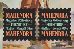 Ceganf - High Contrast Serif Product Image 2