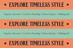 Ceganf - High Contrast Serif Product Image 6