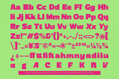 Cegha - Groovy Bold Sans Display Font Product Image 15