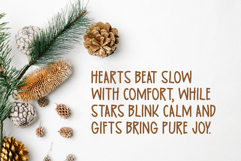 Celebrate Holiness Product Image 4