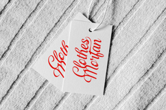 Cerria Refresh - Elegant Script Font Product Image 7