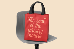 Cerria Refresh - Elegant Script Font Product Image 13