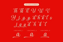 Cerria Refresh - Elegant Script Font Product Image 18