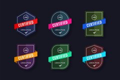 Certified Professional Editable Logo Badges Product Image 1