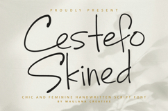 Cestefo Skined Feminine Handwritten Chic Font Product Image 1