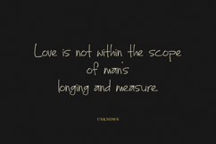 Cestefo Skined Feminine Handwritten Chic Font Product Image 3