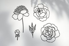 Peony SVG bundle, Trendy Botanical SVG elements, Florals svg Product Image 6