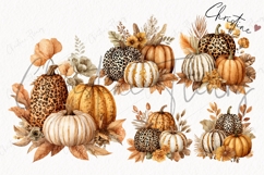 Fall Boho Pumpkin Clipart Bundle Product Image 4