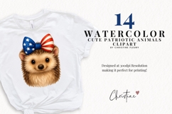 Cute Patriotic Animals Clipart Bundle Product Image 2