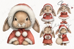 Christmas Bunny Clipart Bundle - 29 Elements Product Image 5