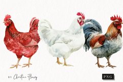 Watercolor Chickens | Farmhouse PNG Product Image 1