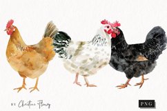 Watercolor Chickens | Farmhouse PNG Product Image 1