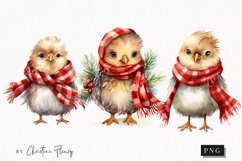 Watercolor Christmas Chicks Clipart | Christmas Clipart Product Image 1