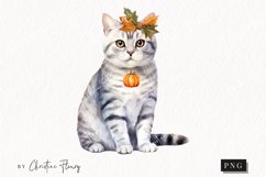 Watercolor American Shorthair | Fall Cat PNG Product Image 1