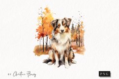 Watercolor Australian Shepherd | Fall Dog PNG Product Image 1