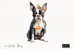 Watercolor Boston Terrier | Fall Dog PNG Product Image 1