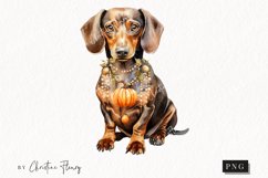 Watercolor Dachshund | Fall Dog PNG Product Image 1