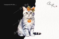 Watercolor American Shorthair | Fall Cat PNG Product Image 2