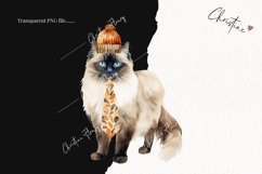 Watercolor Birman | Fall Cat PNG Product Image 2