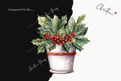 Watercolor Poinsettia Plant Clipart | Christmas Clipart Product Image 2