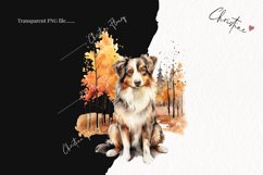 Watercolor Australian Shepherd | Fall Dog PNG Product Image 2