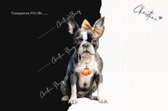 Watercolor Boston Terrier | Fall Dog PNG Product Image 2