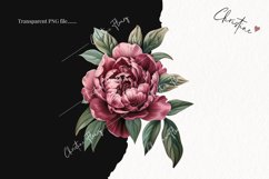 Vintage Peony Clipart | Flower PNG Product Image 2