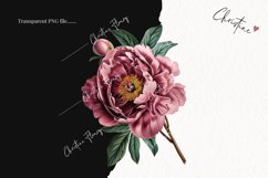 Vintage Peony Clipart | Flower PNG Product Image 2